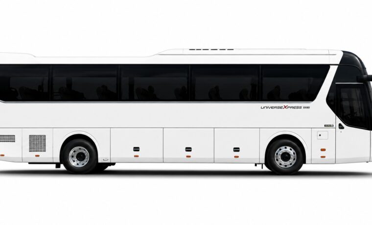 Up to 50 Passenger Large Bus